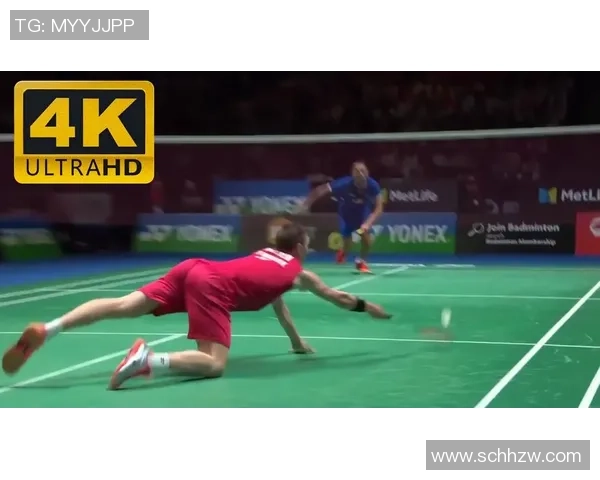 安赛龙与林丹历次对决战绩分析及其影响力探讨