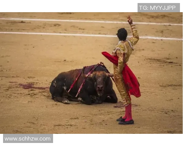 肯姆与雅桑克莱的巅峰对决谁将赢得荣耀之战的最终胜利