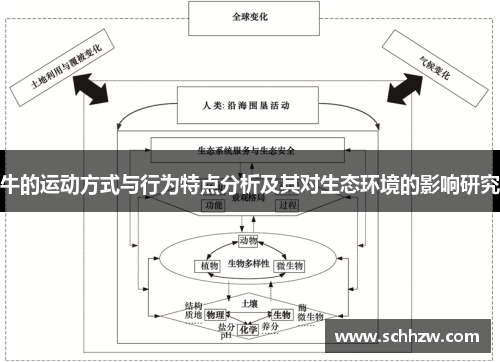 牛的运动方式与行为特点分析及其对生态环境的影响研究