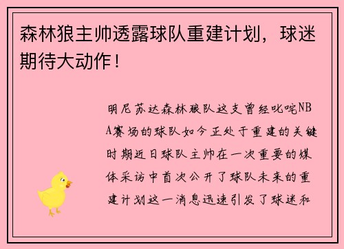 森林狼主帅透露球队重建计划，球迷期待大动作！