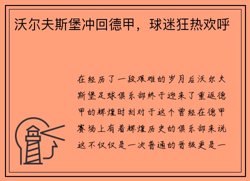 沃尔夫斯堡冲回德甲，球迷狂热欢呼